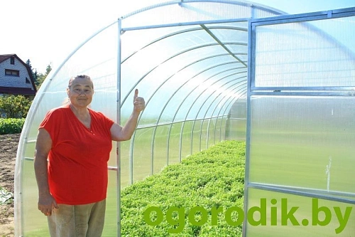 Теплица "Титан" 40x20, 4 м - шаг 67 см (Агросфера) Теплица "Титан" 40x20, 4 м - шаг 67 см (Агросфера)