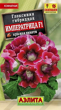 Глоксиния Императрица F1 красная пикоти, 5 шт Глоксиния Императрица F1 красная пикоти, 5 шт