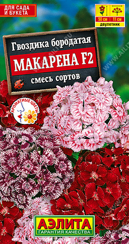 Гвоздика турецкая Макарена F2, смесь 0,1 г (АЭЛИТА) Гвоздика турецкая Макарена F2, смесь 0,1 г (АЭЛИТА)