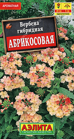 Вербена Абрикосовая, 10 шт (Аэлита)