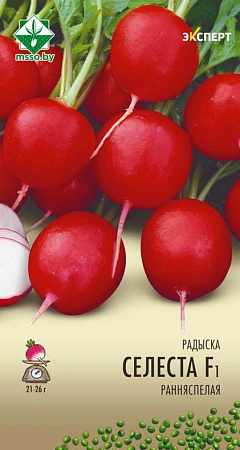 Редис Селеста F1, 1 г (Эксперт) (МССО) Редис Селеста F1, 1 г (Эксперт) (МССО)