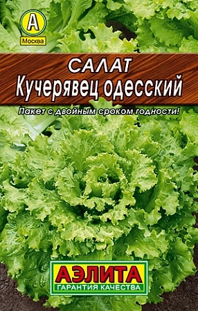 Салат Кучерявец Одесский полукочанный 1 г (АЭЛИТА)