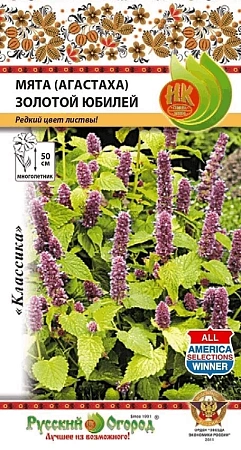 Мята (Агастаха) Золотой юбилей многолетник, 35 шт (НК)