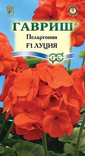 Пеларгония Луция F1 зональная, 4 шт Пеларгония Луция F1 зональная, 4 шт