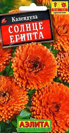 Календула Солнце египта махровая 0,5 г (АЭЛИТА) Календула Солнце египта махровая 0,5 г (АЭЛИТА)