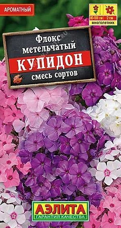 Флокс метельчатый Купидон, смесь 0,1 г