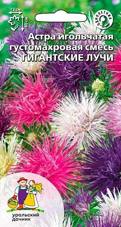 Астра Гигантские лучи игольчатая густомахровая, смесь (УД)