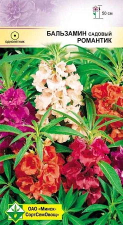 Бальзамин садовый Романтик, 0,5 г (МССО) Бальзамин садовый Романтик, 0,5 г (МССО)