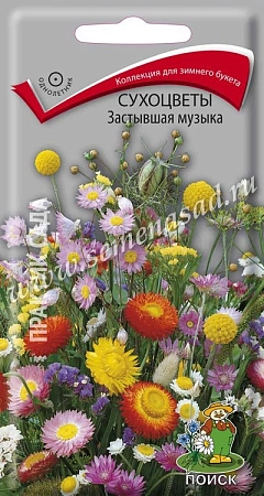 Сухоцветы Застывшая музыка, 0,3 г (Поиск)
