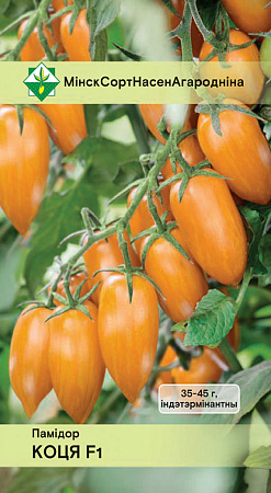 Томат Котя F1, 15 шт (МССО)