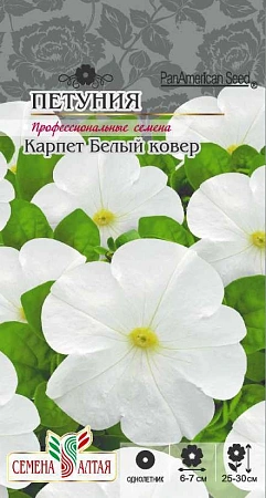 Петуния Карпет Белый ковер, 10 шт