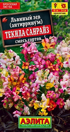 Львиный зев Текила санрайз, смесь 0,1 г (Аэлита) Львиный зев Текила санрайз, смесь 0,1 г (Аэлита)