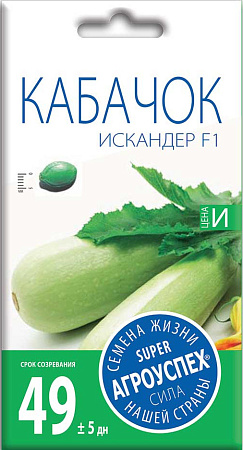 Кабачок Искандер F1, 5 шт (Агроуспех)