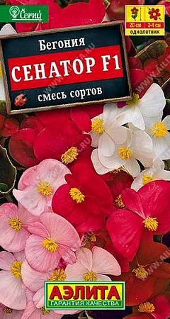 Бегония Сенатор F1, смесь сортов 10 шт (Аэлита) Бегония Сенатор F1, смесь сортов 10 шт (Аэлита)