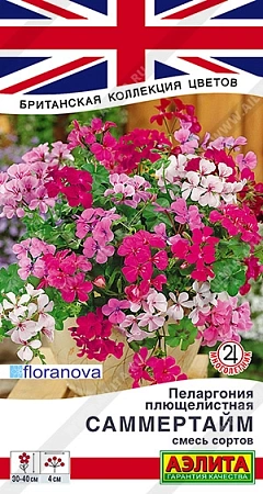 Пеларгония Саммертайм, смесь сортов 3 шт