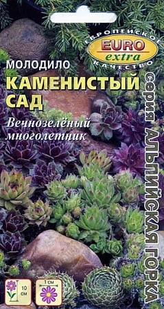Молодило Каменистый сад, смесь 0,01 г (EuroExtra) (Аэлита)