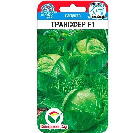 Капуста Трансфер F1, 10 шт (Сиб Сад) Капуста Трансфер F1, 10 шт (Сиб Сад)