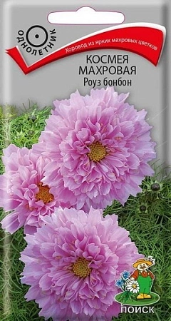 Космея махровая Роуз бонбон 0,1 г Космея махровая Роуз бонбон 0,1 г