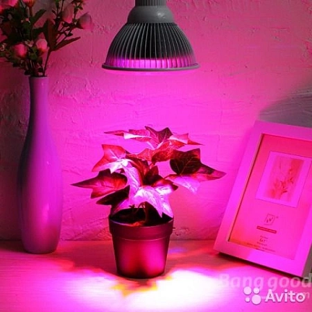 Фитолампа Biosvet-1
