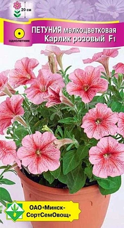 Петуния гибридная мелкоцветная Карлик розовый F1, 7 шт (МССО) Петуния гибридная мелкоцветная Карлик розовый F1, 7 шт (МССО)