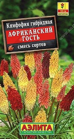 Книфофия Африканский гость, смесь сортов 0,1 г