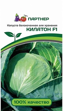 Капуста белокочанная Килатон F1 Капуста белокочанная Килатон F1
