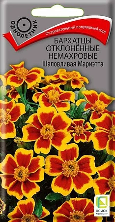 Бархатцы Шаловливая Мариэтта немахровые отклоненные, 0,4 г (Поиск) Бархатцы Шаловливая Мариэтта немахровые отклоненные, 0,4 г (Поиск)