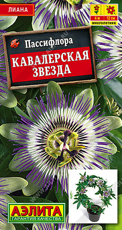Пассифлора Кавалерская звезда, 5 шт (Аэлита)
