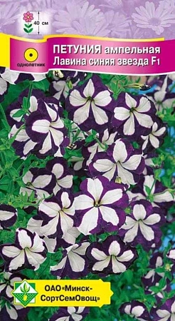 Петуния гибридная ампельная Лавина синяя звезда F1, 7 шт (МССО) Петуния гибридная ампельная Лавина синяя звезда F1, 7 шт (МССО)
