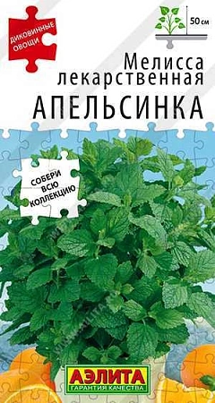Мелисса лекарственная Апельсинка, 5 шт (АЭЛИТА)