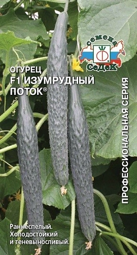 Огурец Изумрудный поток F1 0,2 г (Седек) Огурец Изумрудный поток F1 0,2 г (Седек)