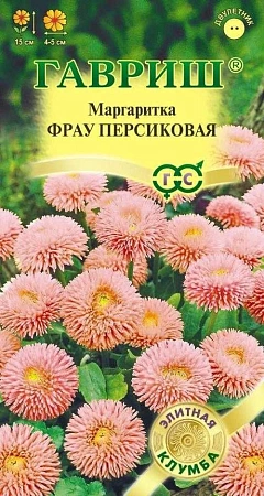 Маргаритка Фрау Персиковая многолетник, 4 драже (Гавриш)