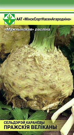 Сельдерей Пражские Великаны корневой 0,3 г (МССО)