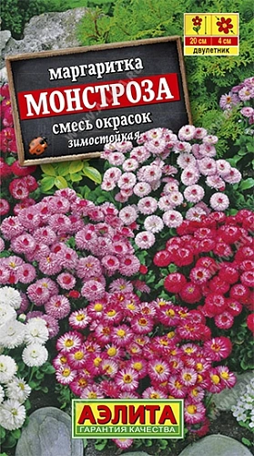 Маргаритка Монстроза, смесь окрасок 0,05 г (Аэлита) Маргаритка Монстроза, смесь окрасок 0,05 г (Аэлита)