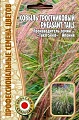 Ковыль тростниковый Pheasant Tails однолетник, 10 шт (Ред.Сем) Ковыль тростниковый Pheasant Tails однолетник, 10 шт (Ред.Сем)