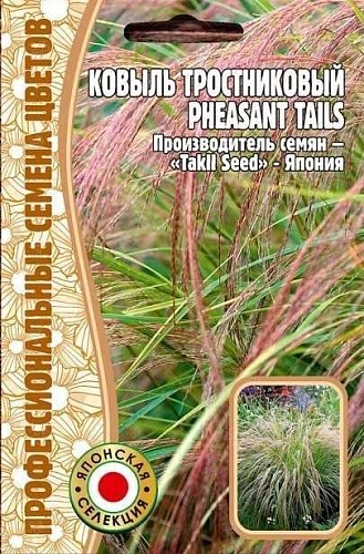 Ковыль тростниковый Pheasant Tails однолетник, 10 шт (Ред.Сем) Ковыль тростниковый Pheasant Tails однолетник, 10 шт (Ред.Сем)