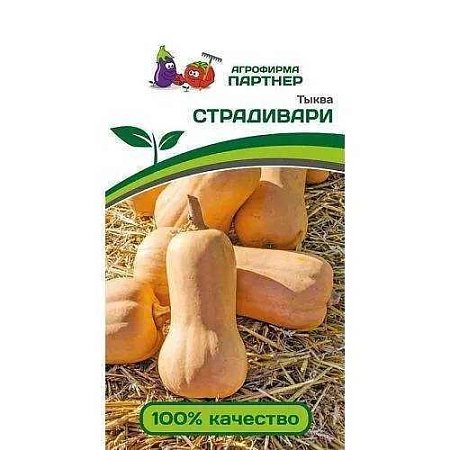 Тыква Страдивари, 10 шт (ПАРТНЕР)