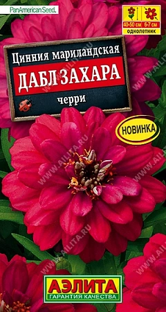 Цинния Дабл Захара черри, 5 шт (АЭЛИТА)