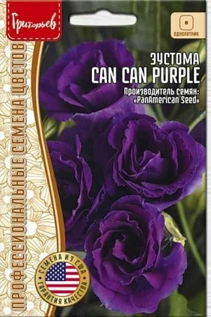 Эустома Can Can Purple, 4 шт