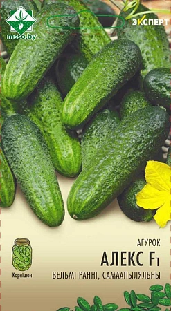 Огурец Алекс F1, 10 шт (Эксперт) (МССО) Огурец Алекс F1, 10 шт (Эксперт) (МССО)
