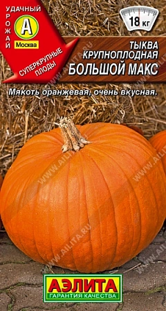Тыква крупноплодная Большой макс 1 г