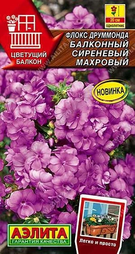 Флокс друммонда Балконный махровый, смесь 10 шт Флокс друммонда Балконный махровый, смесь 10 шт