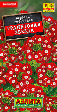 Вербена Гранатовая звезда, 30 шт (Аэлита) Вербена Гранатовая звезда, 30 шт (Аэлита)