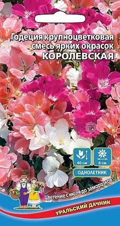 Годеция Королевская смесь крупноцветковая (УД)