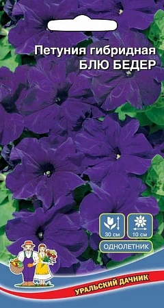 Петуния гибридная Блю Бедер F1 0,05 г (УД) Петуния гибридная Блю Бедер F1 0,05 г (УД)