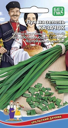 Лук на зелень Казачок (УД)