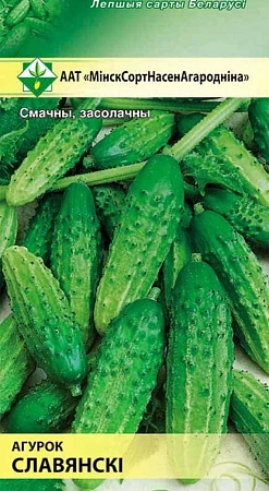 Огурец Славянский, 0,8 г (МССО) Огурец Славянский, 0,8 г (МССО)
