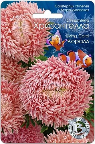 Астра китайская Хризантелла Коралл, 30 шт (Биотехника) Астра китайская Хризантелла Коралл, 30 шт (Биотехника)