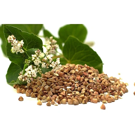 Гречиха сорт Лакнея, 1 кг