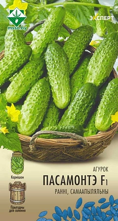 Огурец Пасамонте F1, 10 шт (МССО) Огурец Пасамонте F1, 10 шт (МССО)